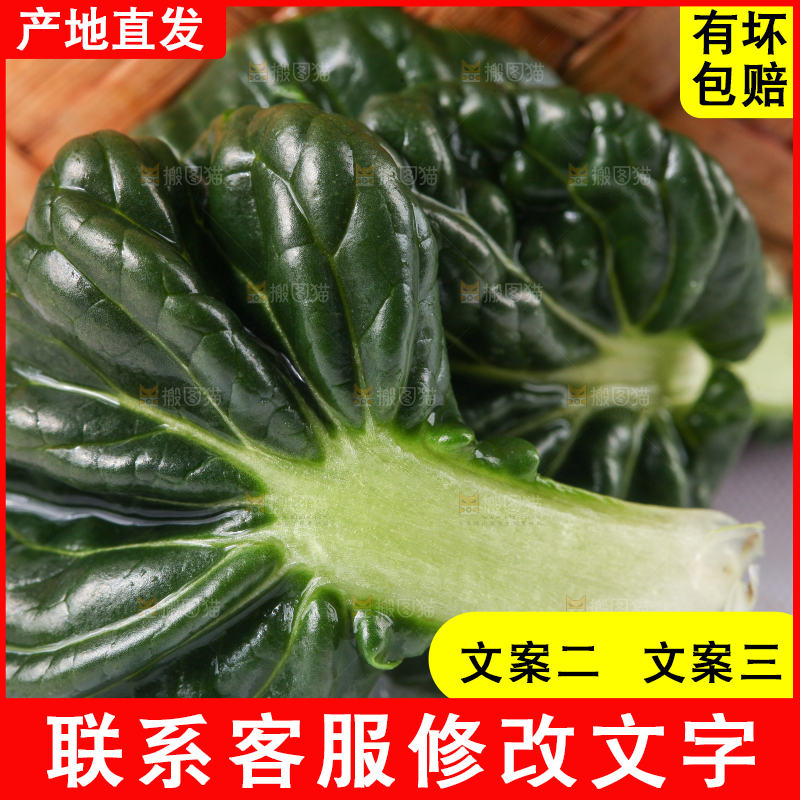浅底上放着菊花菜
