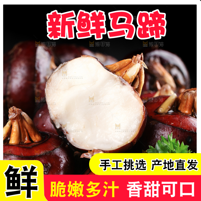 深底上的广西荔浦马蹄