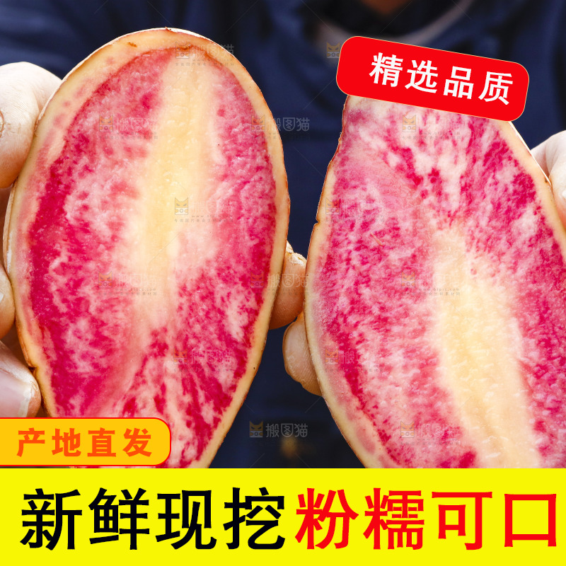 手里拿着彩色土豆