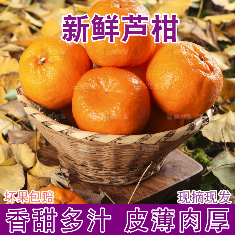 篮子里装着新鲜芦柑
