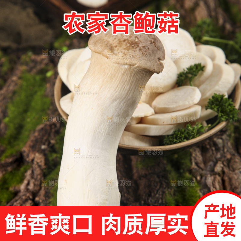 木底上的鸡腿菇