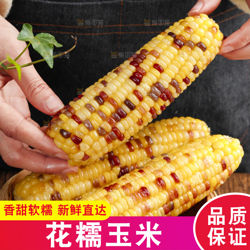 手拿熟糯玉米