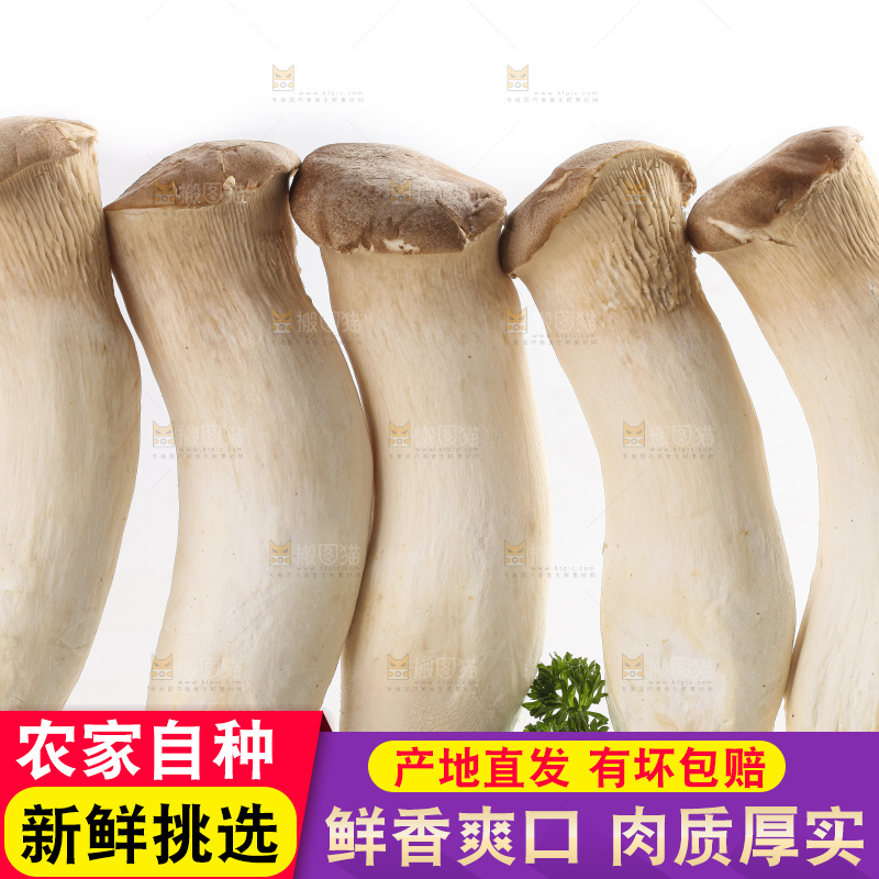 白底上放着大鸡腿菇