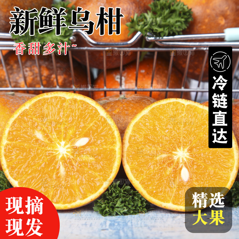 蓝底上摆放着乌柑