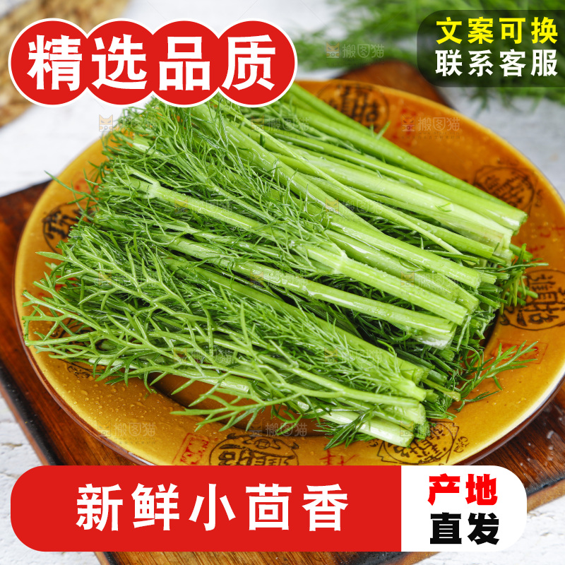 盘子里装着农家茴香菜