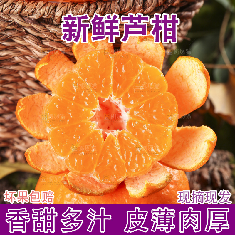 篮子里装着新鲜芦柑