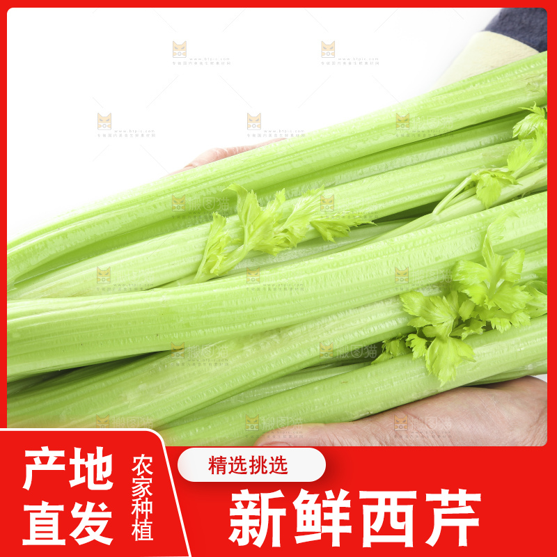 白底上的山东西芹