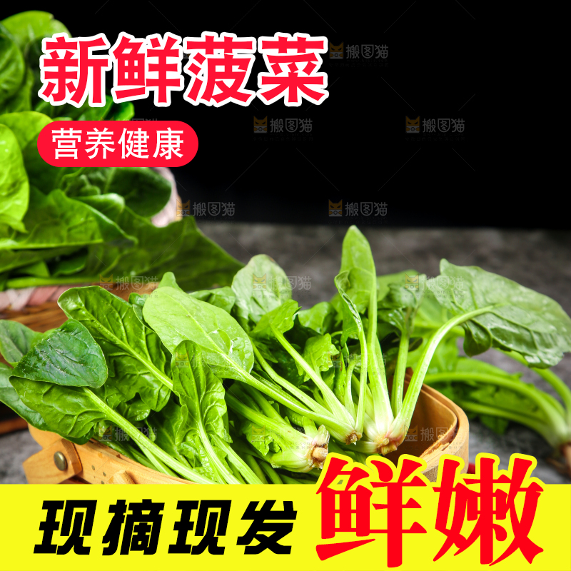 篮子里的红根菠菜