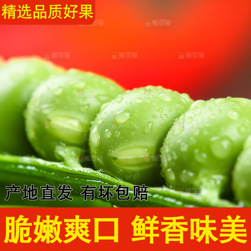 浅底上的新鲜豌豆粒