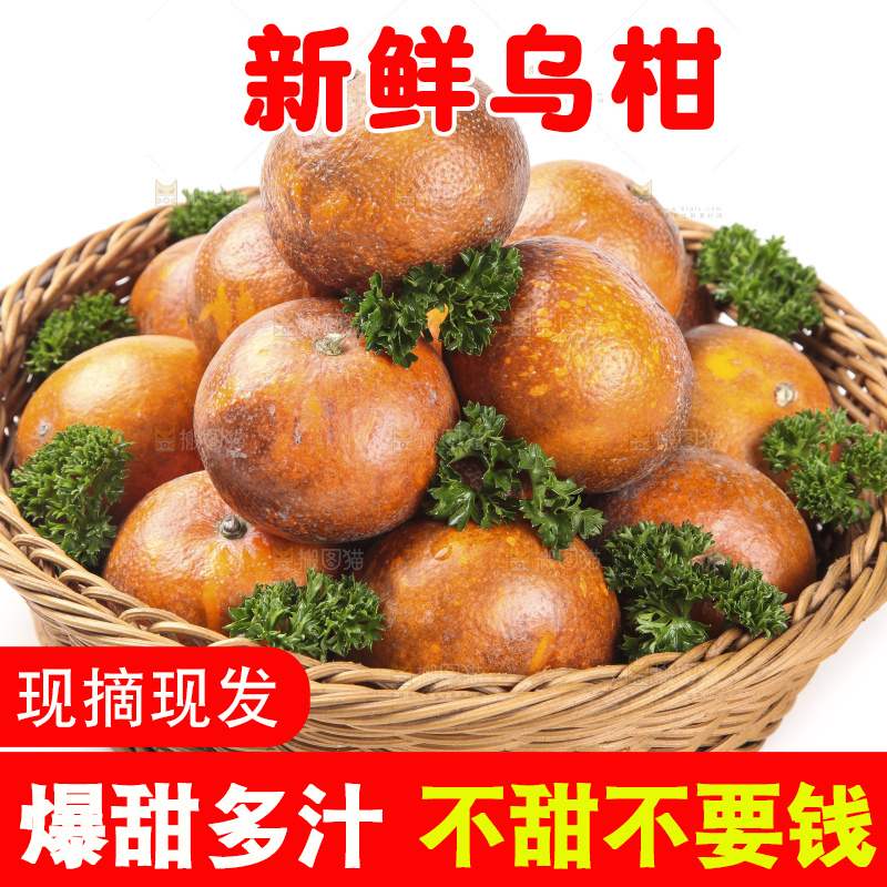 篮子里的广西乌柑