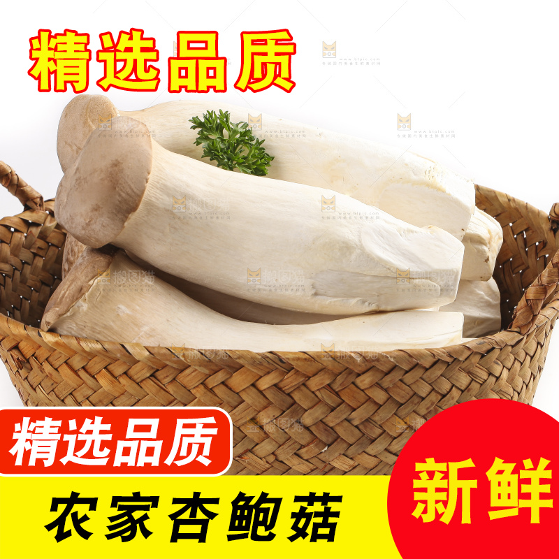 篮子里的菌菇