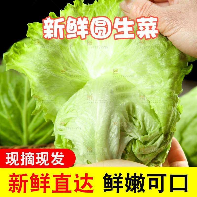 深底上的圆形生菜