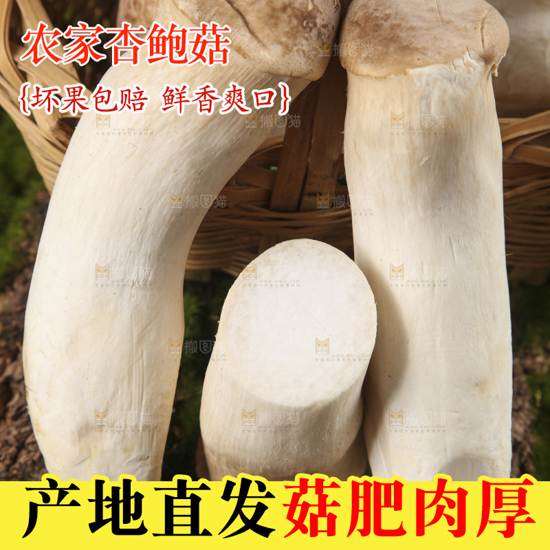 篮子里放着大鸡腿菇