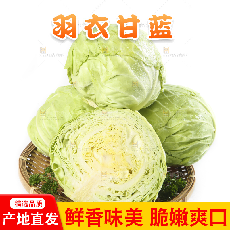 白底上摆放着包菜