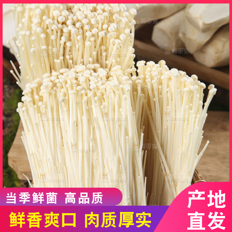 篮子里装着新鲜金针菇