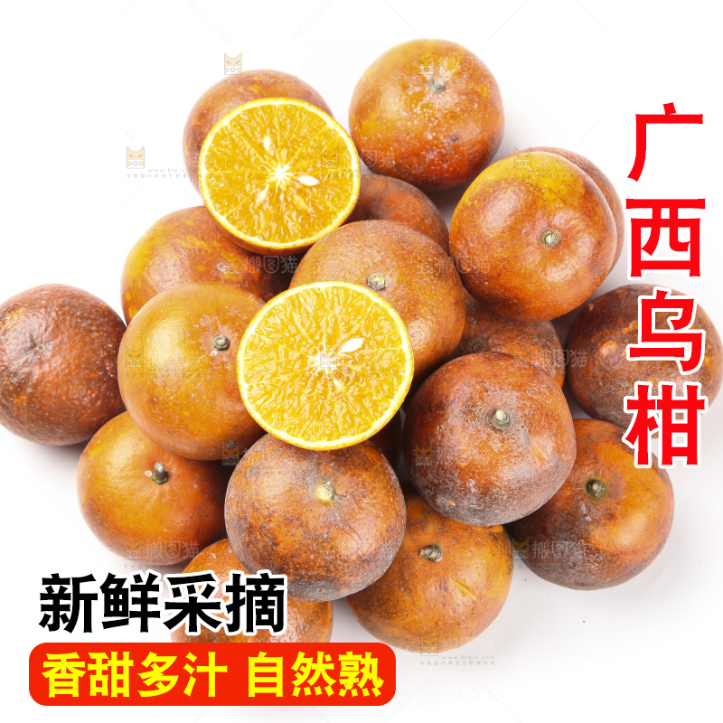 白底上摆放着乌柑