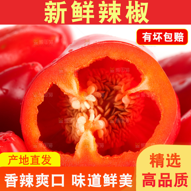 石板上的山东红辣椒