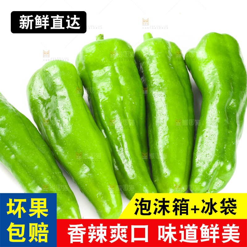 白底上摆放着农家青椒