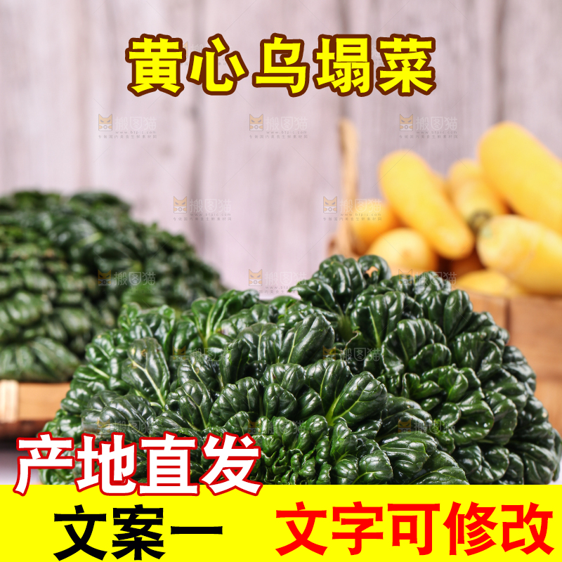 浅底上放着菊花菜
