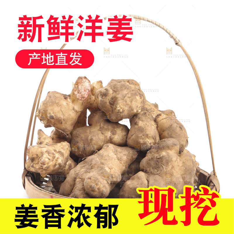 白底上摆放着新鲜洋姜