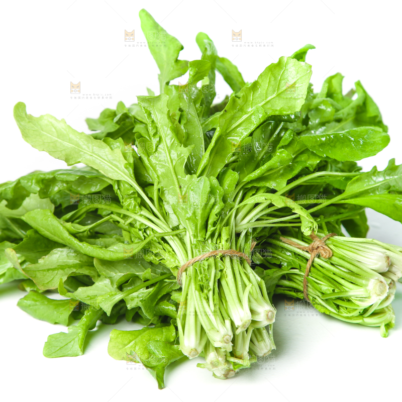 白底上的地菜