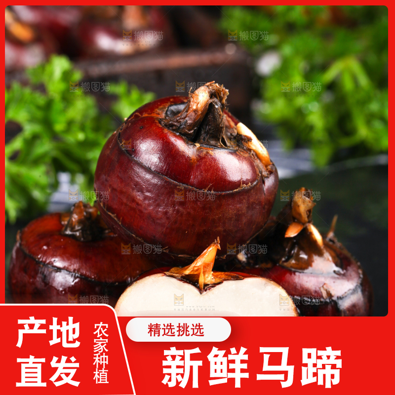 黑石板上的荸荠