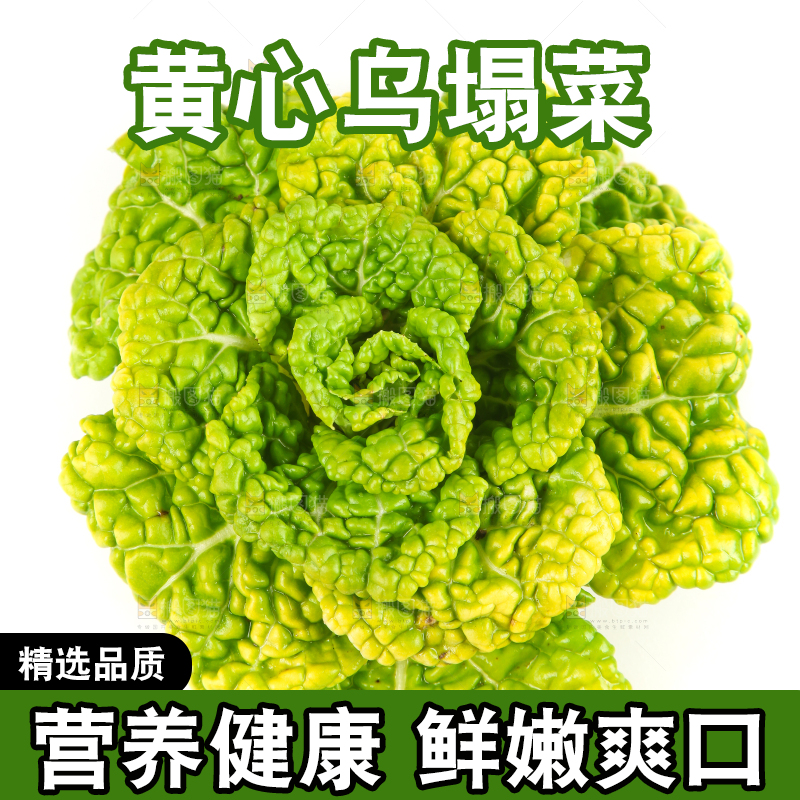 白底上摆放着黄心白菜