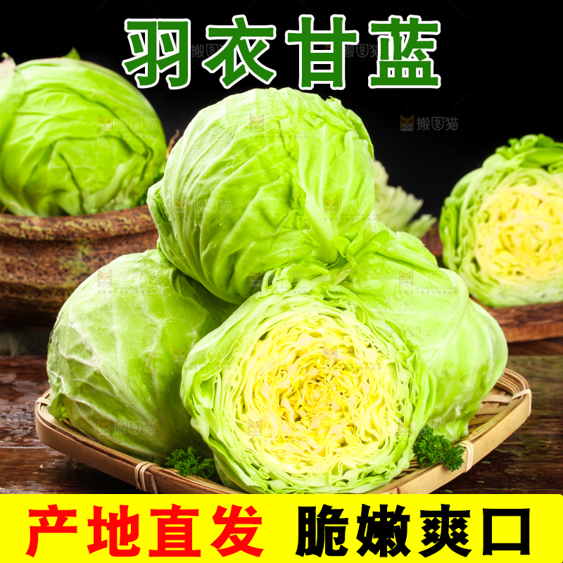 黑底上放着绿甘蓝
