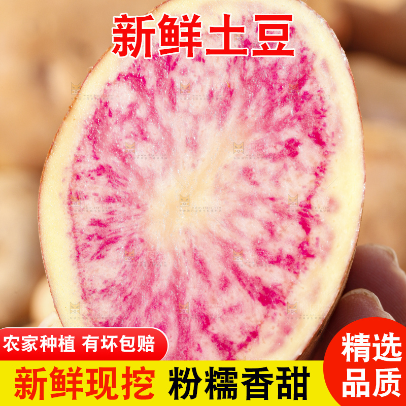 手里拿着七彩土豆