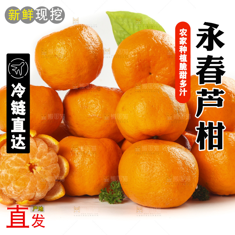 白底上的椪柑橘