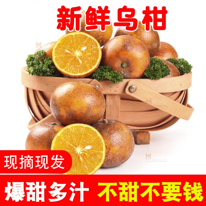 篮子里的广西乌柑