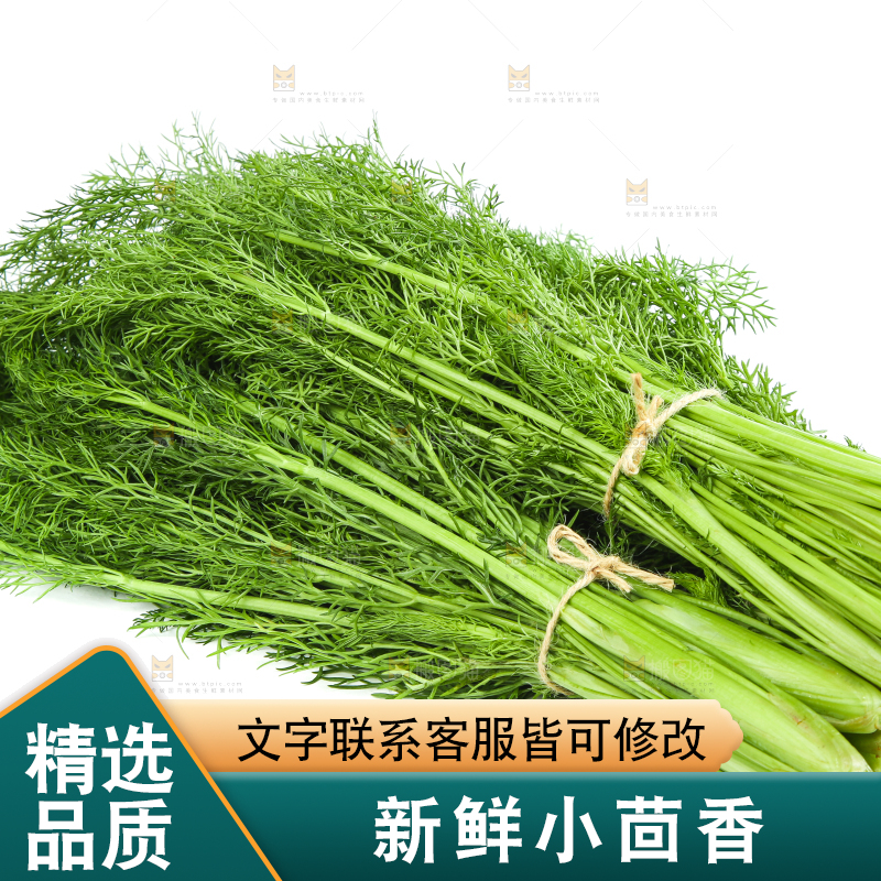 白底上放着小茴香