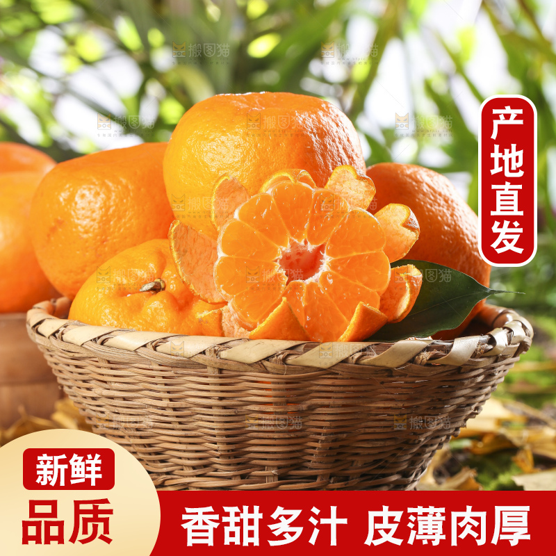 篮子里装着新鲜芦柑