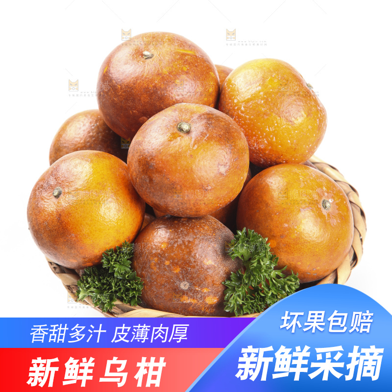 篮子里的广西乌柑