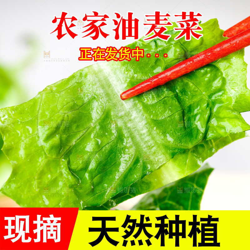 筷子上夹着新鲜油麦菜
