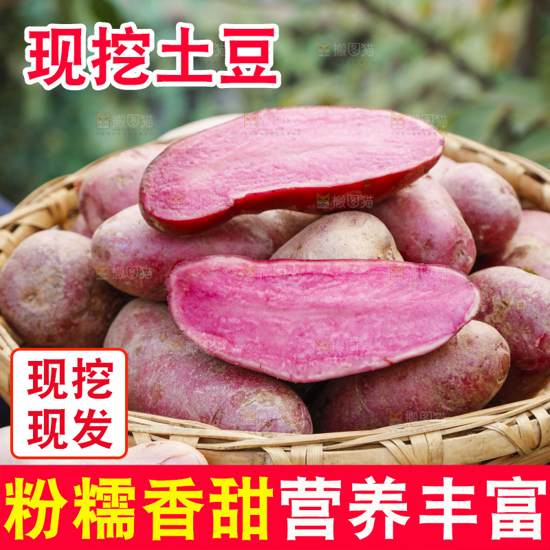 篮子里装着红心土豆