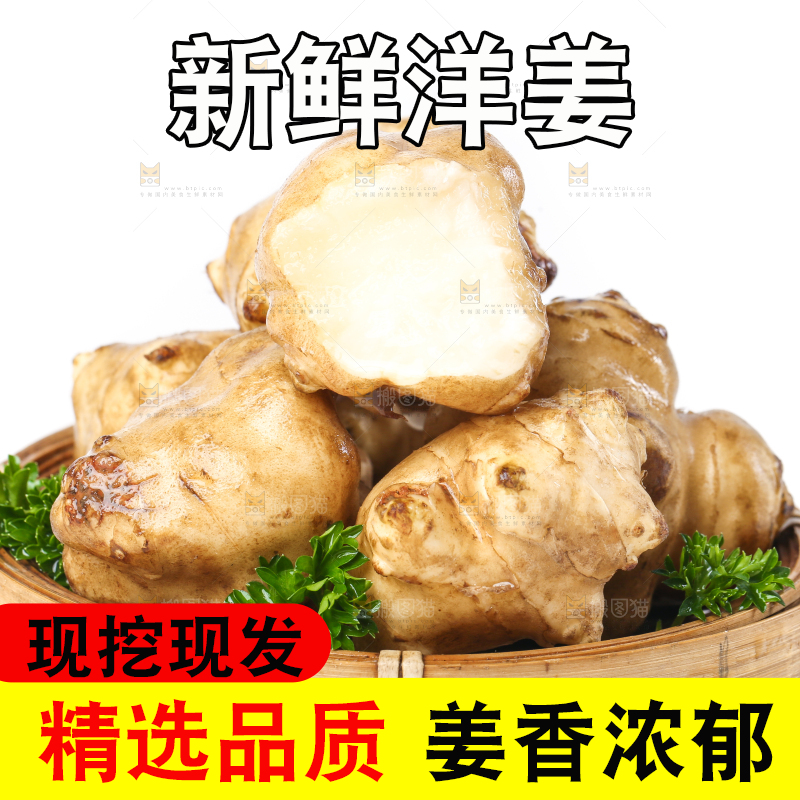 白底上的陕北高原洋姜