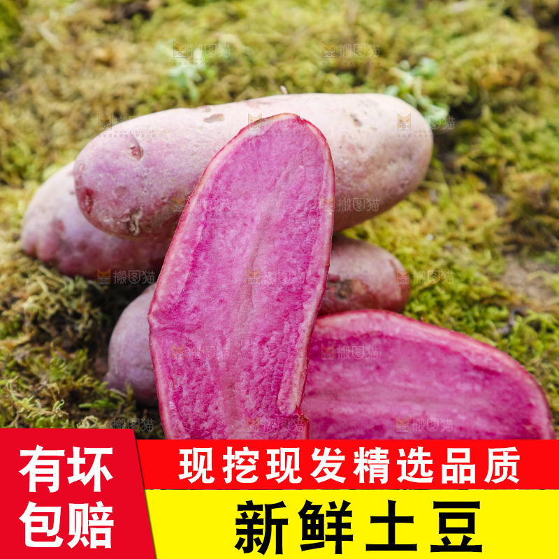 草地上放着红色马铃薯