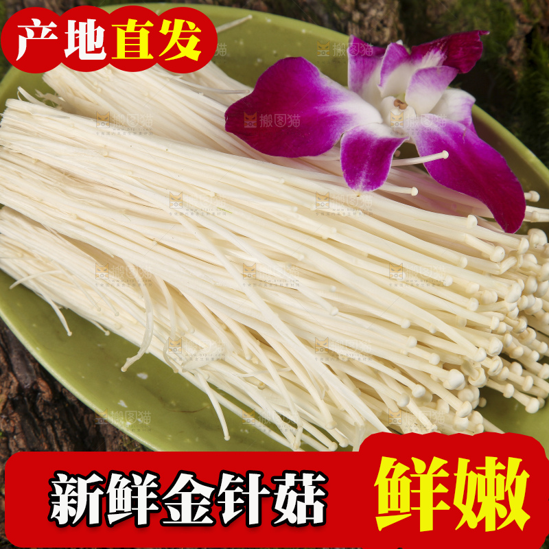 木底上的冬菇
