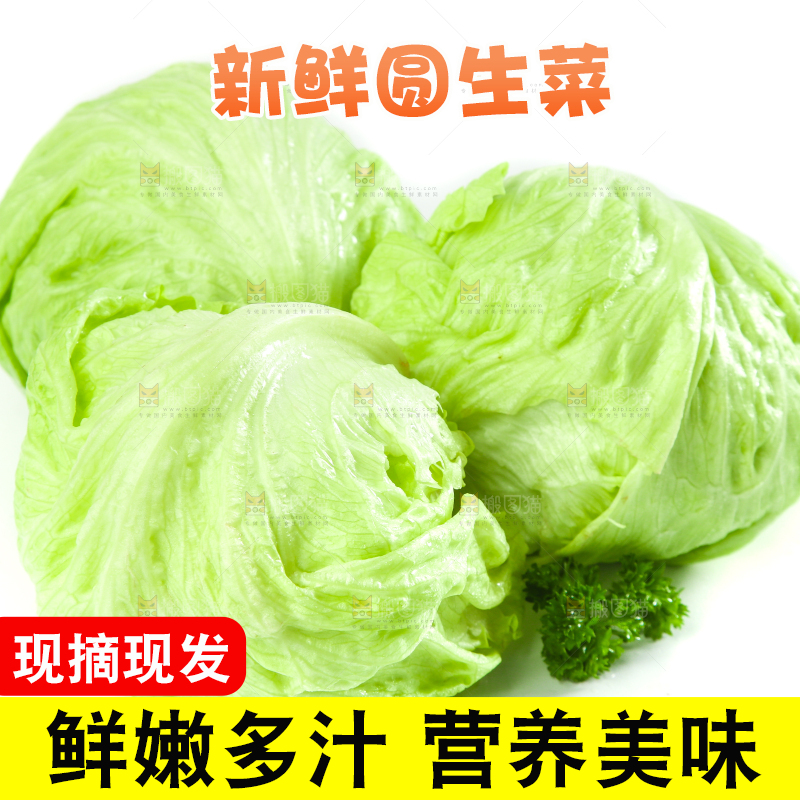 白底上的新鲜生菜