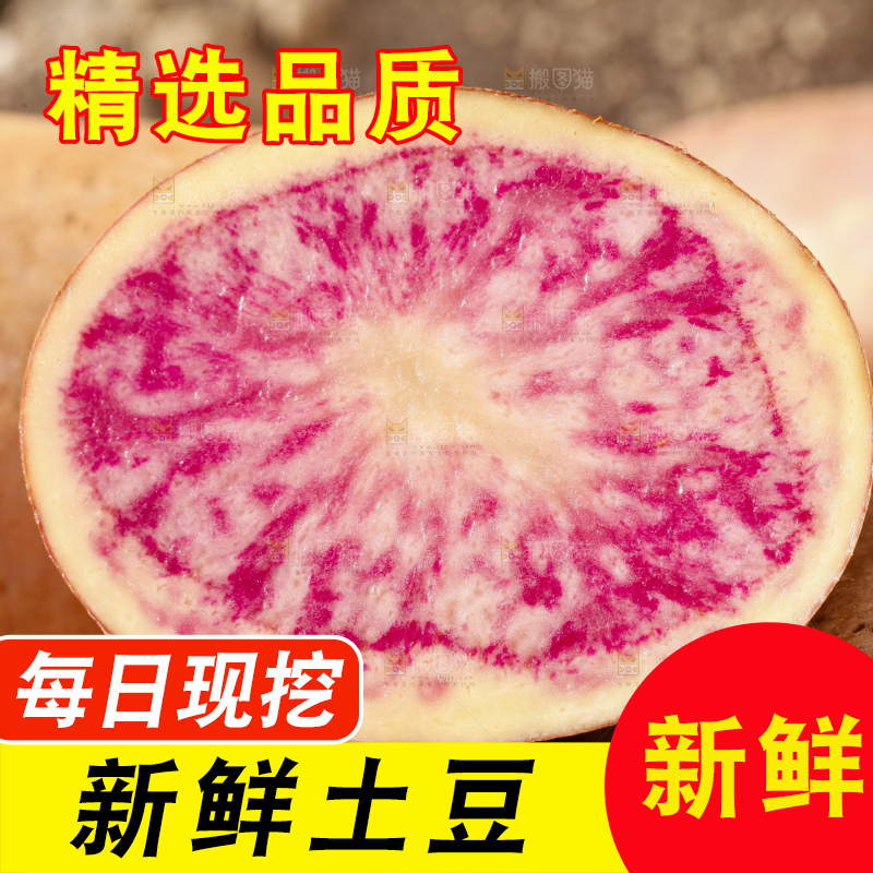 沙地里的彩色土豆