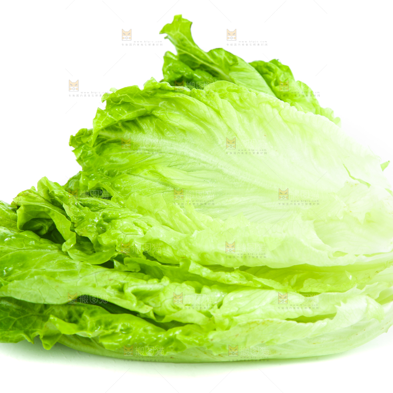 白底上的生菜