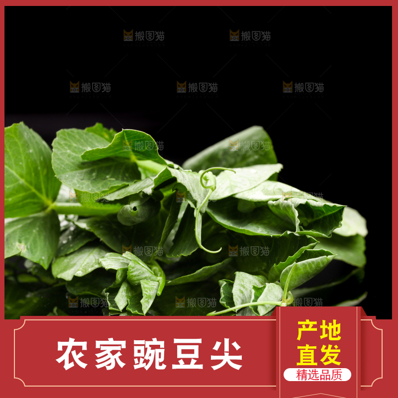 深底上的四川豌豆尖
