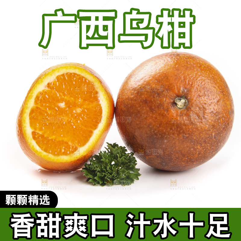 白底上放着新鲜乌柑