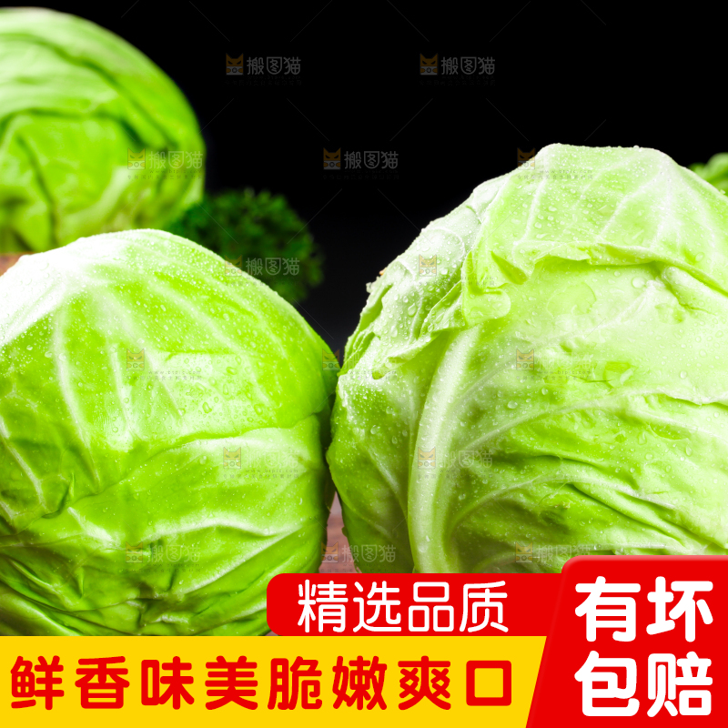 黑底上放着绿甘蓝
