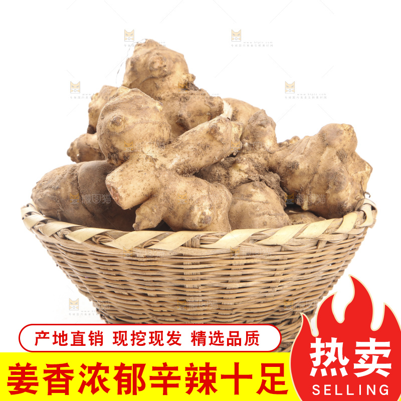 白底上摆放着新鲜洋姜