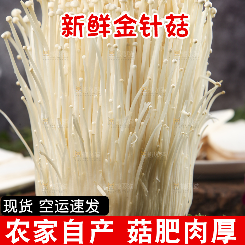木底上的冬菇