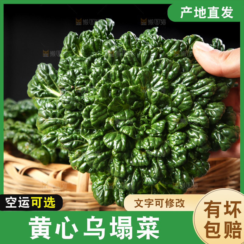 篮子里装着乌塌菜