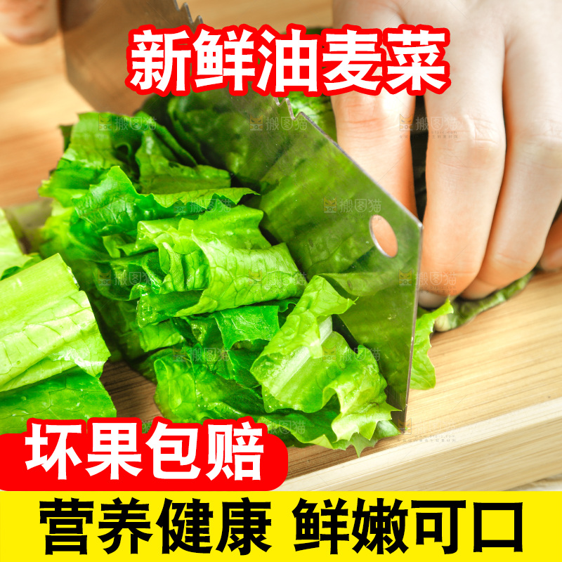 菜板上正在切香麦菜