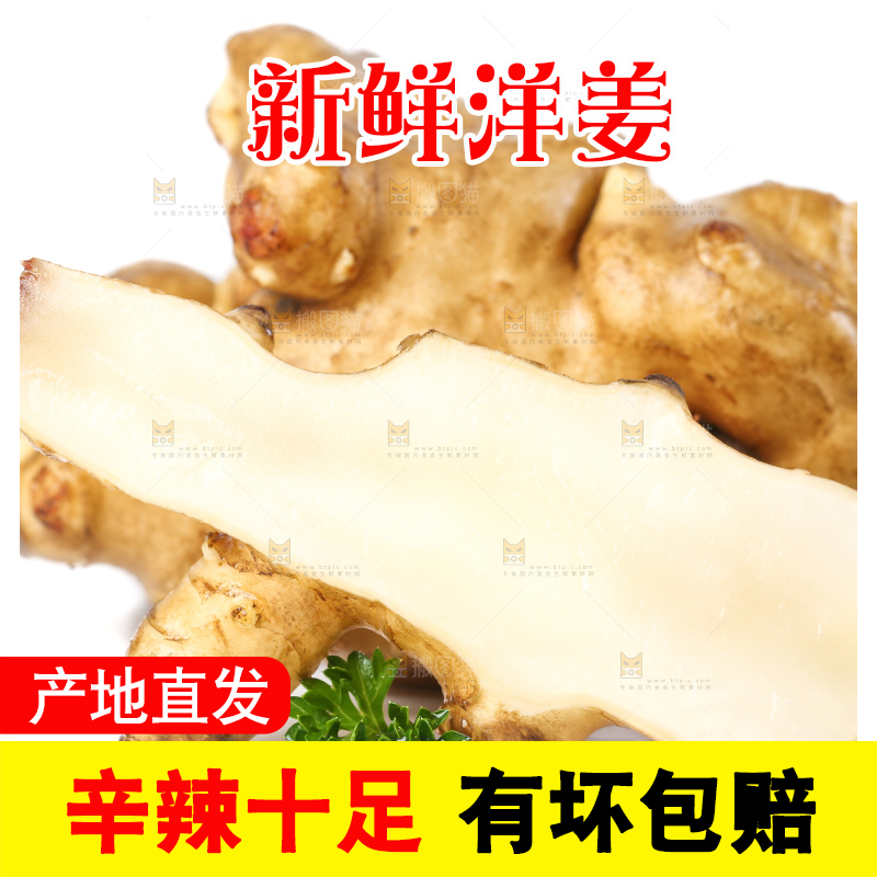 白底上的陕北高原洋姜